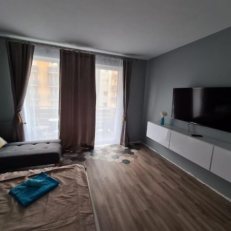 Garsoniera Zebra Apartman Brassó Kültér fotó
